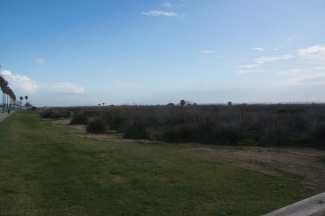 Conil de la Frontera